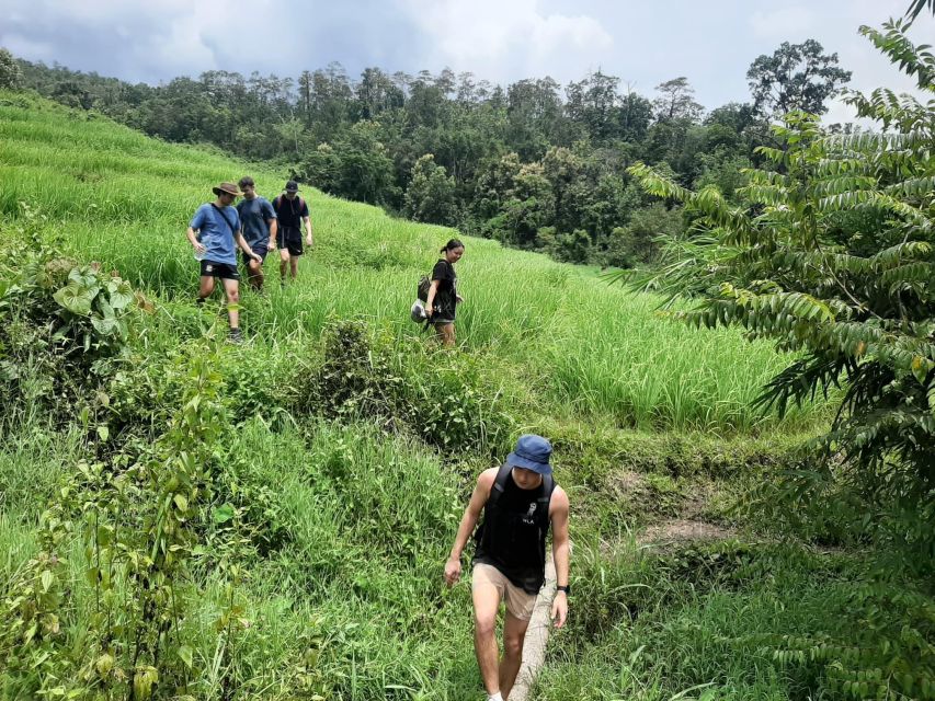 Chiang Mai: Elephant Sanctuary & Jungle Trek w/ Waterfall - Why this Chiang Mai day works so well