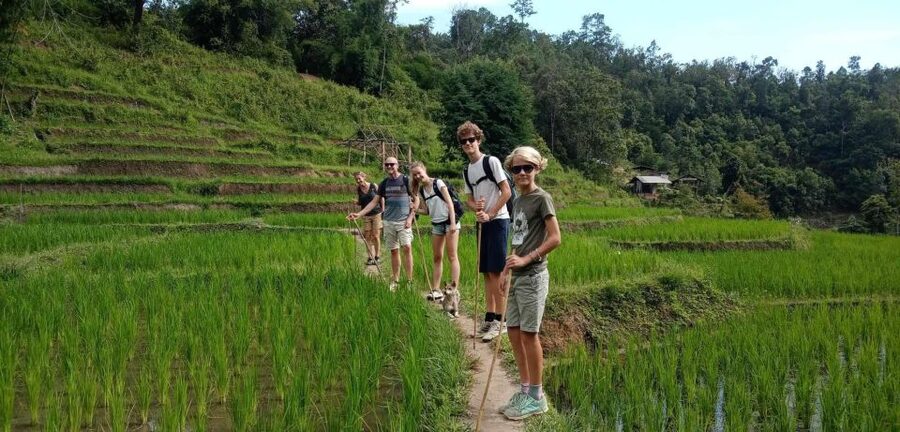 Chiang Mai: Elephant Sanctuary & Jungle Trek w/ Waterfall - Meeting rescued elephants at the sanctuary