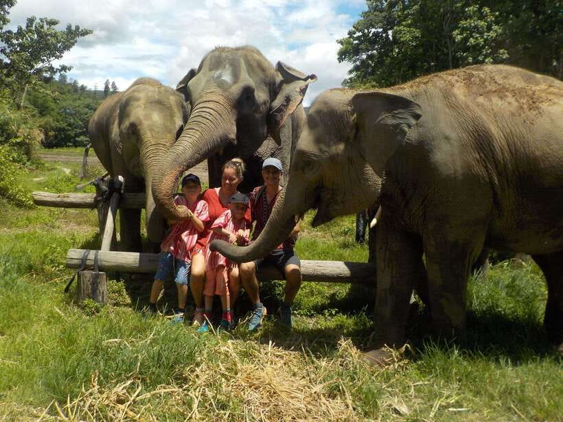 Chiang Mai: Elephant Sanctuary Local Hill Tribe Caretakers - Meeting the elephants near Chiang Mai