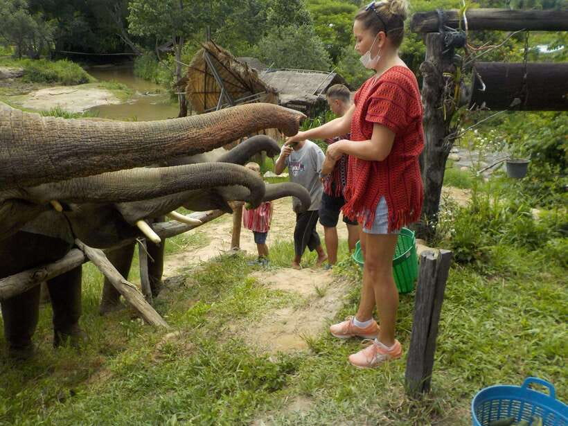 Chiang Mai: Elephant Sanctuary Local Hill Tribe Caretakers - Thai lunch in a peaceful setting