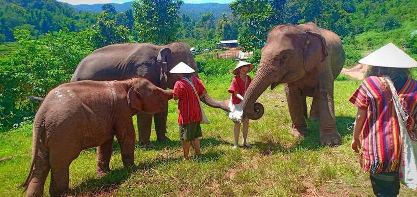Chiang Mai: Elephant Sanctuary Local Hill Tribe Caretakers - Karen and Hmong community connections