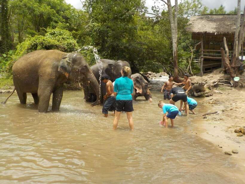 Chiang Mai: Elephant Sanctuary Local Hill Tribe Caretakers - What the $51 price really covers