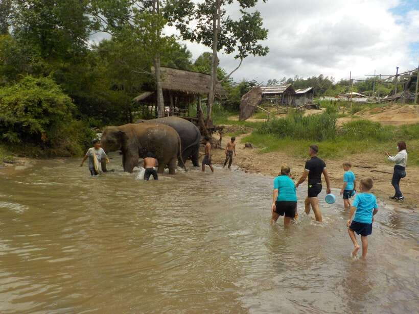 Chiang Mai: Elephant Sanctuary Local Hill Tribe Caretakers - Who should book this elephant experience