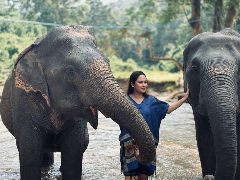 Chiang Mai: Elephant Sanctuary, Long Neck & Sticky Waterfall - A nine-hour day from Chiang Mai to the forest