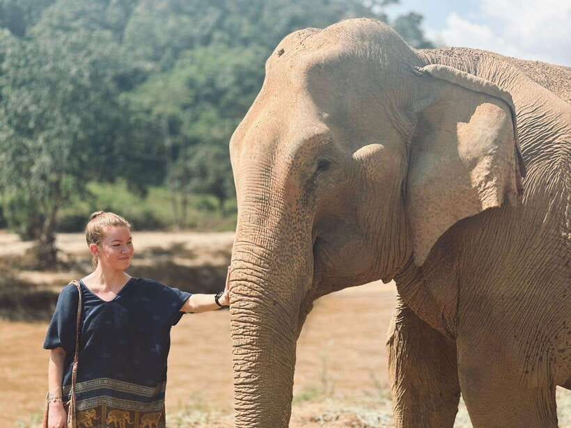 Chiang Mai: Elephant Sanctuary, Long Neck & Sticky Waterfall - Preparing herbal treats at the elephant sanctuary