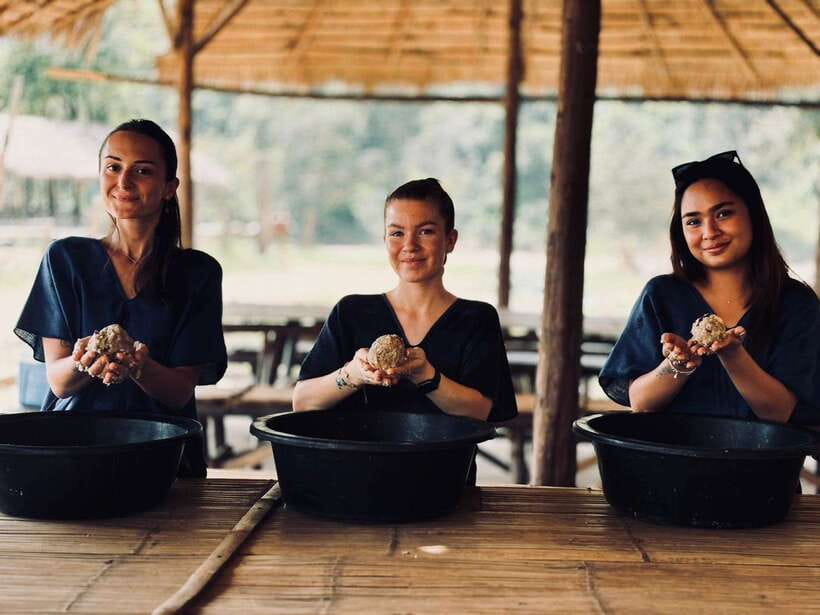 Chiang Mai: Elephant Sanctuary, Long Neck & Sticky Waterfall - A Thai lunch with fruit and water