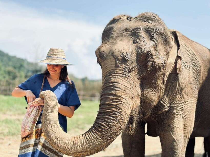 Chiang Mai: Elephant Sanctuary, Long Neck & Sticky Waterfall - What the $63 price really covers