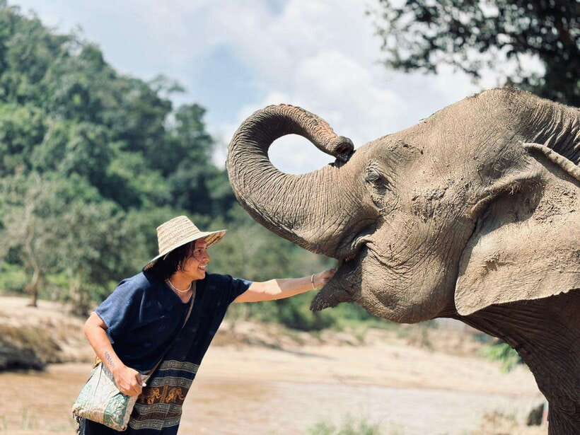 Chiang Mai: Elephant Sanctuary, Long Neck & Sticky Waterfall - Walking beside elephants and bathing them in the river