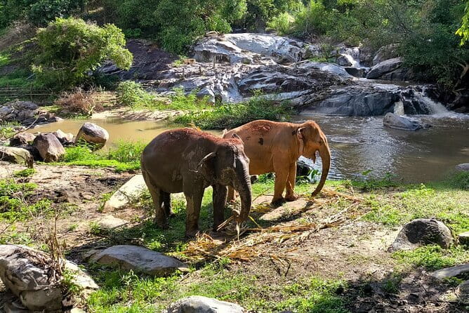 Chiang Mai Elephant Sanctuary Observation and Bamboo Rafting - Transport, timing, and the rural setting