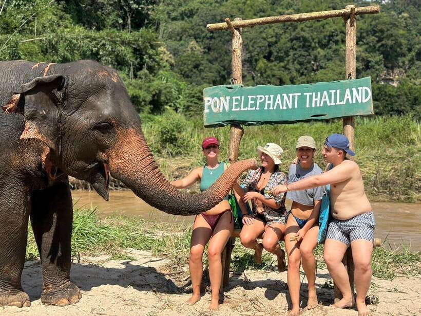 Chiang Mai: Elephant Sanctuary, Waterfall & Bamboo Rafting - Mae Wang Waterfalls: a cool start or refreshing finale