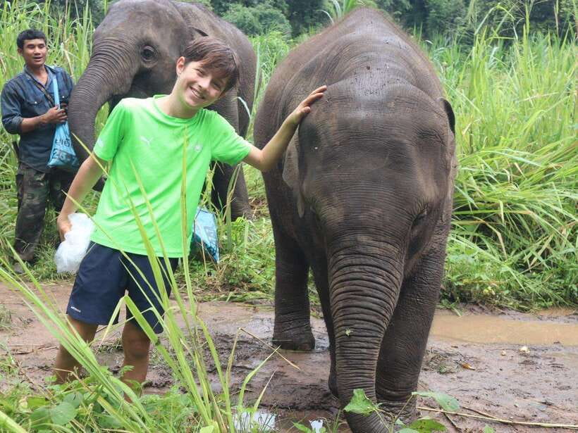 Chiang Mai: Elephant Sanctuary, Waterfall & Bamboo Rafting - Meeting the elephants at Pon Elephant Thailand