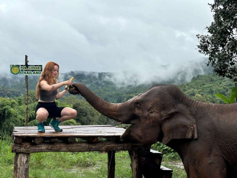 Chiang Mai: Elephant Sanctuary, Waterfall & Bamboo Rafting - Bathing with the elephants in the river