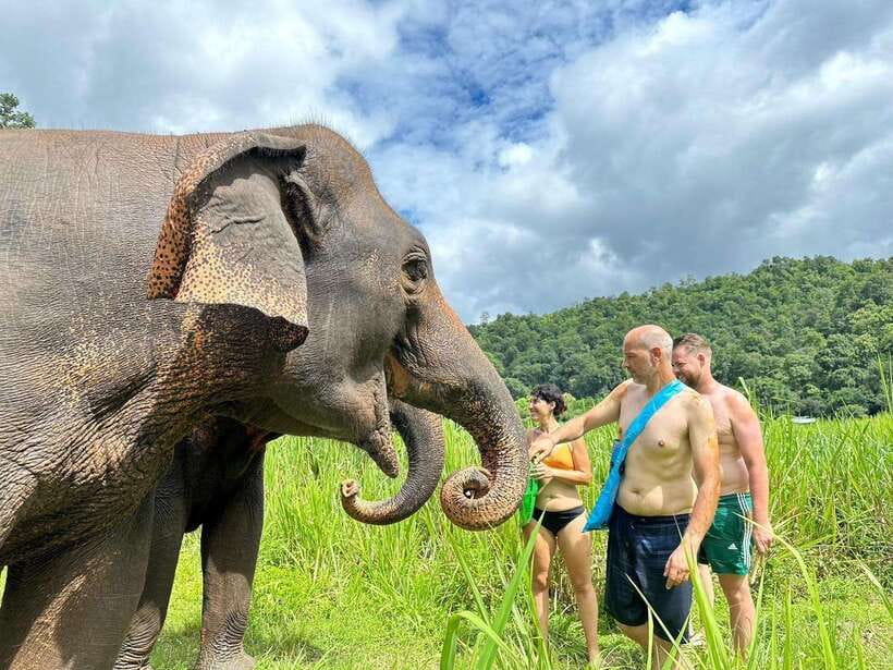 Chiang Mai: Elephant Sanctuary, Waterfall & Bamboo Rafting - Thai lunch and a closer look at elephant care