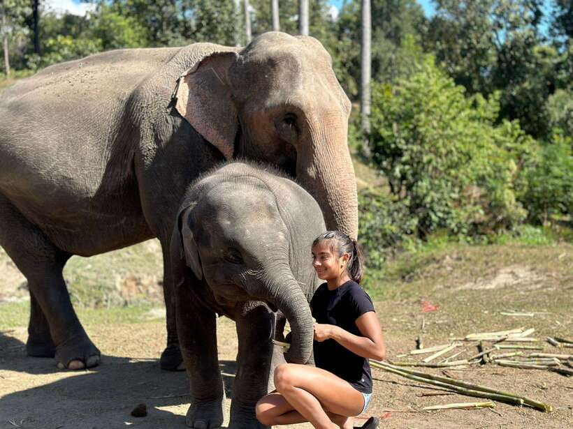 Chiang Mai: Elephant Sanctuary, Waterfall & Bamboo Rafting - What the guides add to the day