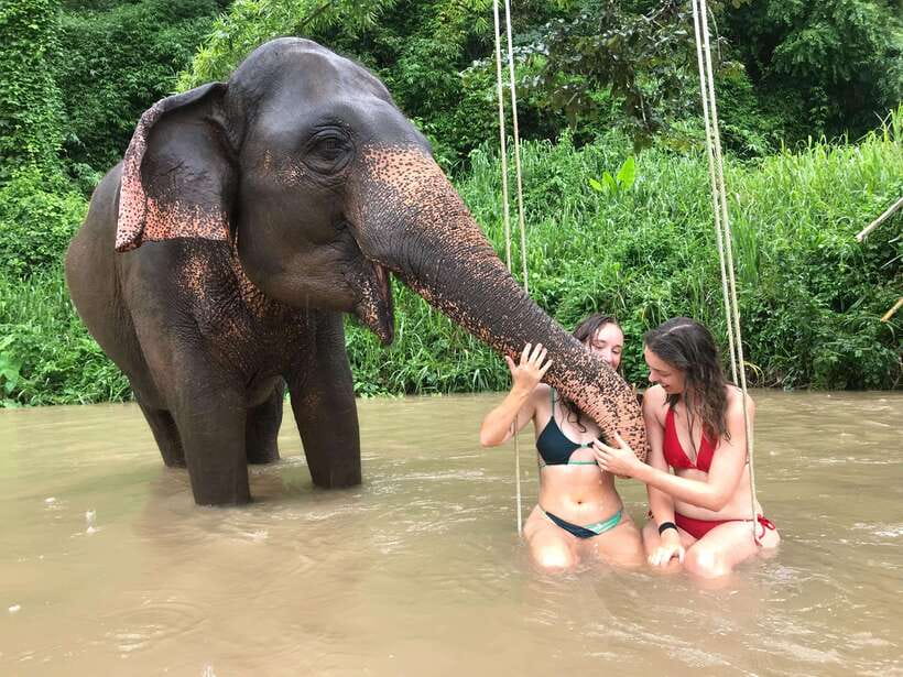 Chiang Mai: Elephant Sanctuary & Waterfall Group Tour - The long road from Chiang Mai to Mae Wang