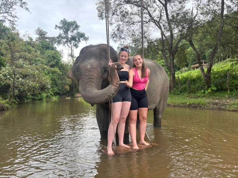 Chiang Mai: Elephant Sanctuary & Waterfall Group Tour - What bathing the elephants is really like