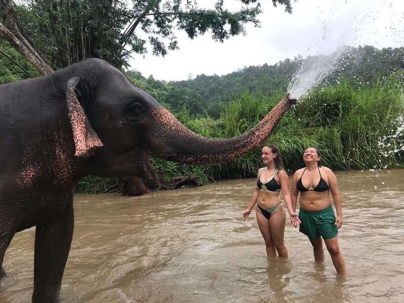 Chiang Mai: Elephant Sanctuary & Waterfall Group Tour - Lunch, fruit, and a taste of local hospitality