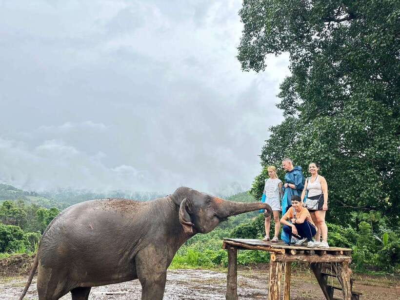 Chiang Mai: Elephant Sanctuary & Waterfall Group Tour - Hiking to Mae Wang Waterfall