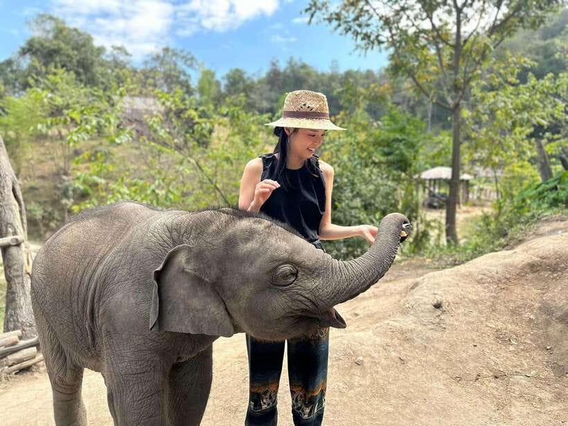 Chiang Mai: Elephant Sanctuary & Waterfall Group Tour - The guides make a noticeable difference