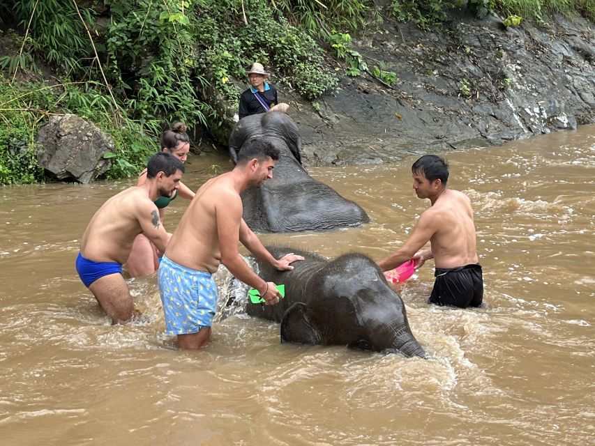 Chiang Mai: Elephant Sanctuary & Waterfall Group Tour - Is $50 good value for seven hours?
