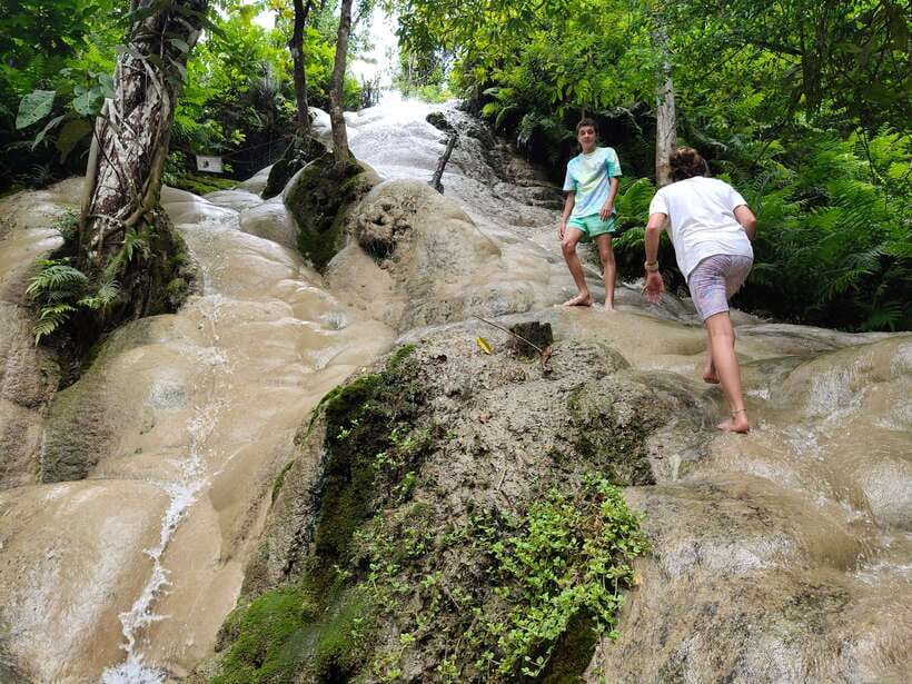 Chiang Mai: Elephants, Sticky Waterfalls, Market and Temple - Should you book it?
