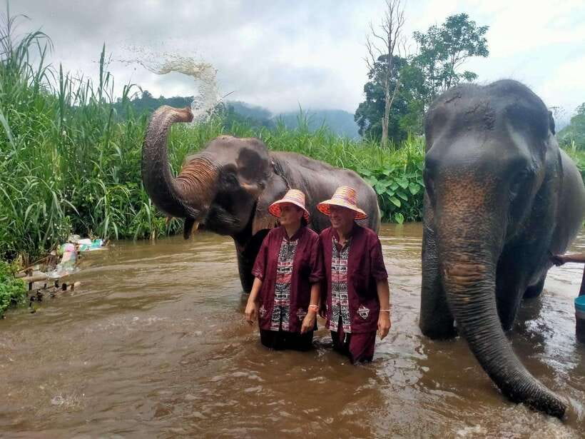 Chiang Mai: Elephants, Sticky Waterfalls, Market and Temple - A local market with bugs, snacks, and rural life