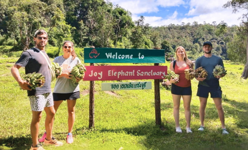 Chiang Mai: Ethical Half Day Elephant Sanctuary & Waterfall - Key points before you book