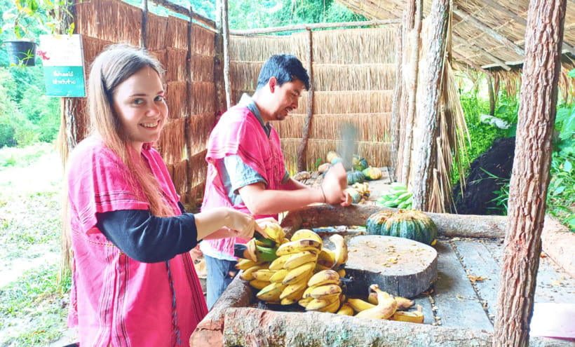 Chiang Mai: Ethical Half Day Elephant Sanctuary & Waterfall - Feeding the elephants under clear rules
