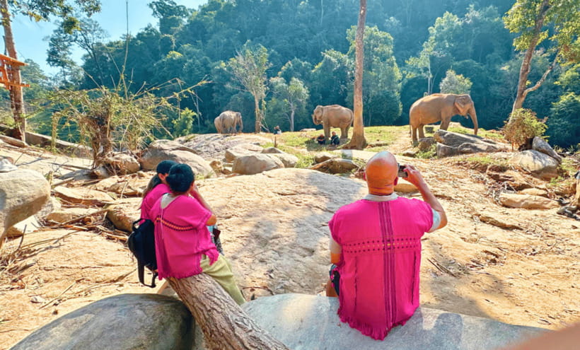 Chiang Mai: Ethical Half Day Elephant Sanctuary & Waterfall - Who will enjoy this, and who may not