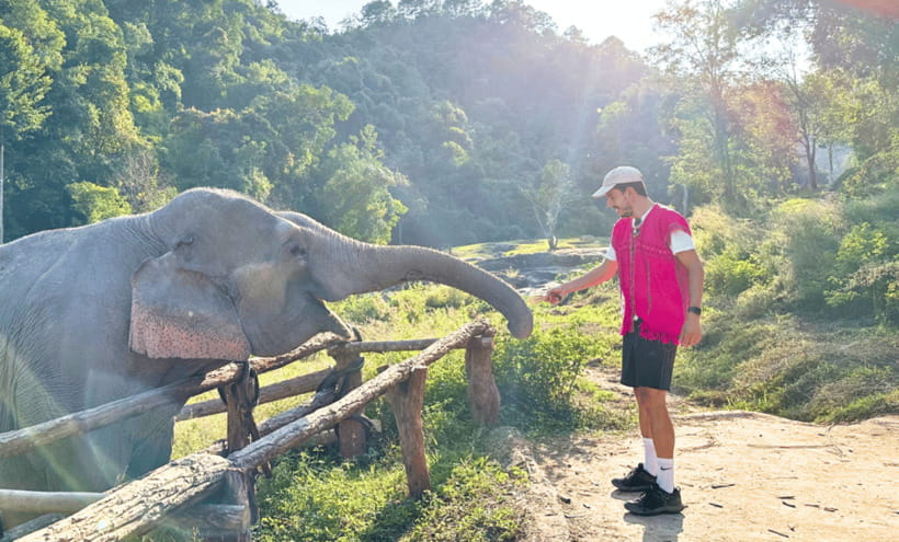 Chiang Mai: Ethical Half Day Elephant Sanctuary & Waterfall - Should you book the Joy Elephant Sanctuary visit?