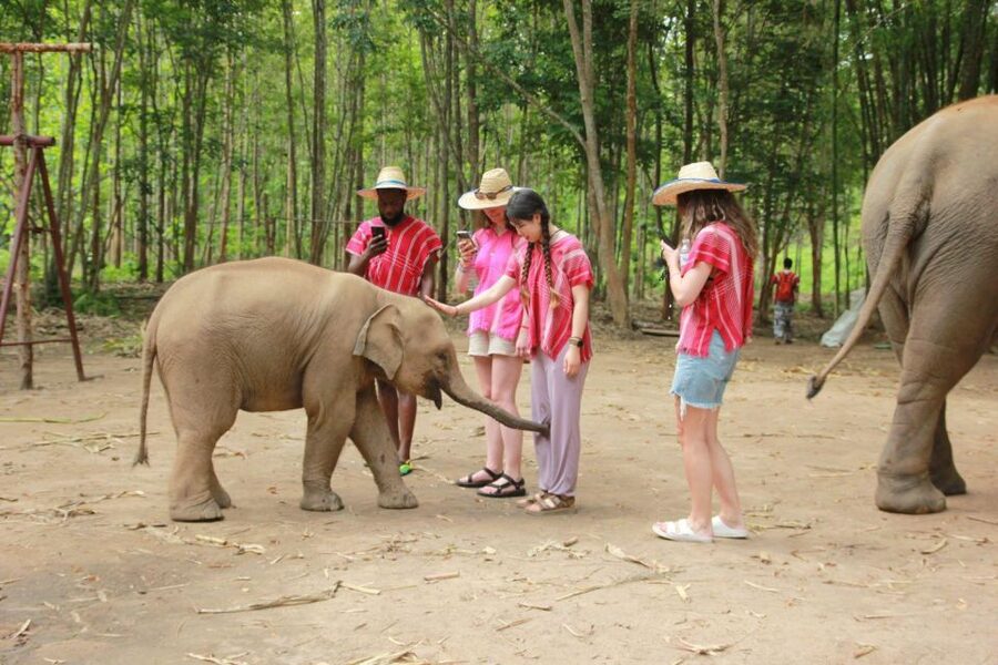 Chiang Mai: Full-Day Kerchor Elephant Eco Park Tour & Trek - A full day built around elephants, not elephant rides