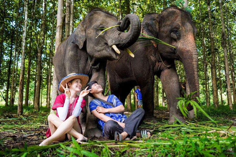 Chiang Mai: Full-Day Kerchor Elephant Eco Park Tour & Trek - Transport from Chiang Mai and the real timing