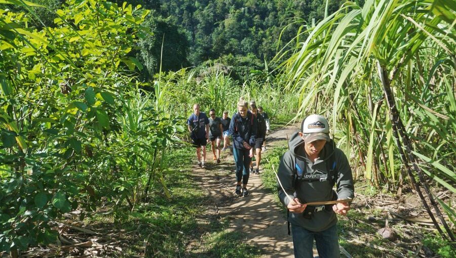 Chiang Mai: Guided Jungle and Waterfall Trek with Transfer - Swimming beneath a 10-meter cascade