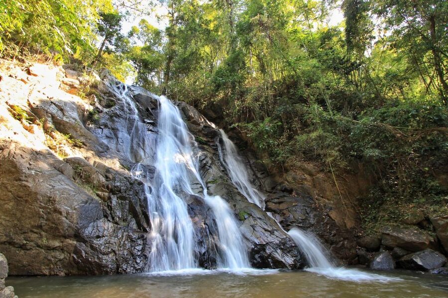 Chiang Mai: Guided Jungle and Waterfall Trek with Transfer - What the $64 price covers
