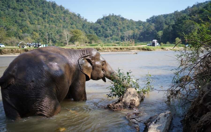 Chiang Mai Half-Day Adventure: River Tubing & Waterfall - Saa Gee Waterfall and the smooth rock slide