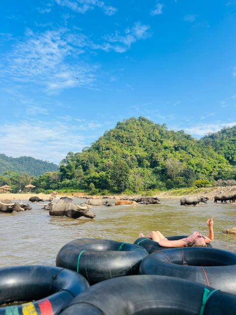 Chiang Mai Half-Day Adventure: River Tubing & Waterfall - The elephant feeding add-on for 500 THB