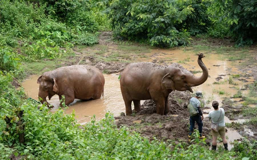 Chiang Mai Half-Day Adventure: River Tubing & Waterfall - Overnight option: cabin or private villa