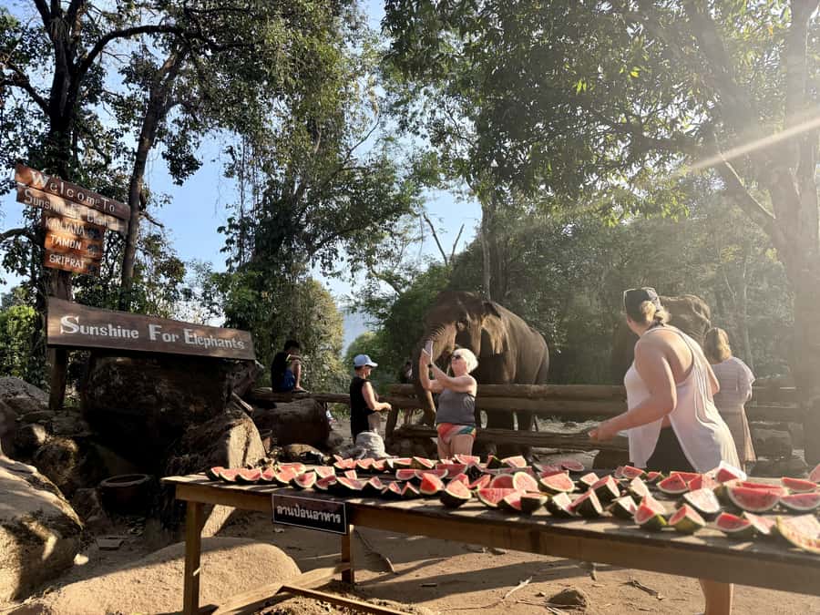 Chiang Mai Half-Day Adventure: River Tubing & Waterfall - How much value do you get for $62?