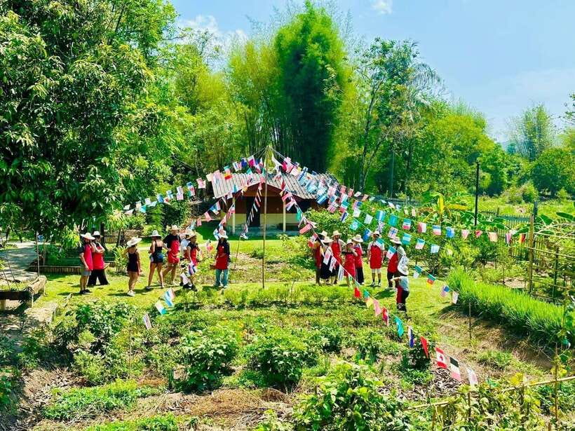 Chiang Mai: Half Day Cooking Class at Organic Farm - Choosing between the city gardens and the farm