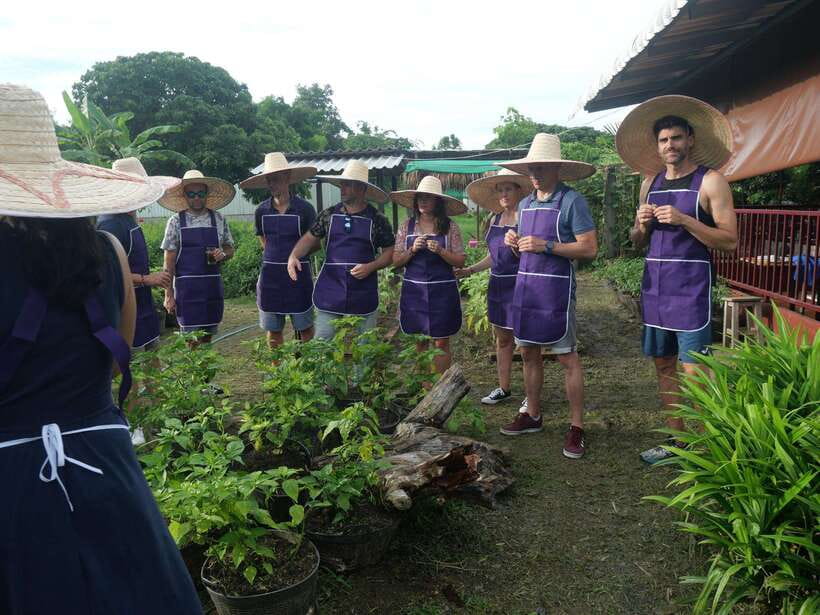 Chiang Mai: Half Day Cooking Class at Organic Farm - The local market gives the recipes some meaning