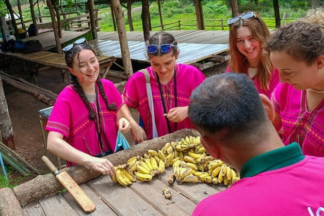 Chiang Mai Half Day Elephant Sanctuary Observation and Waterfall - Why the elephant visit feels different