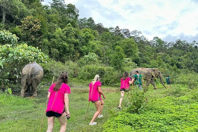 Chiang Mai Half Day Elephant Sanctuary Observation and Waterfall - Feeding elephants without touching them