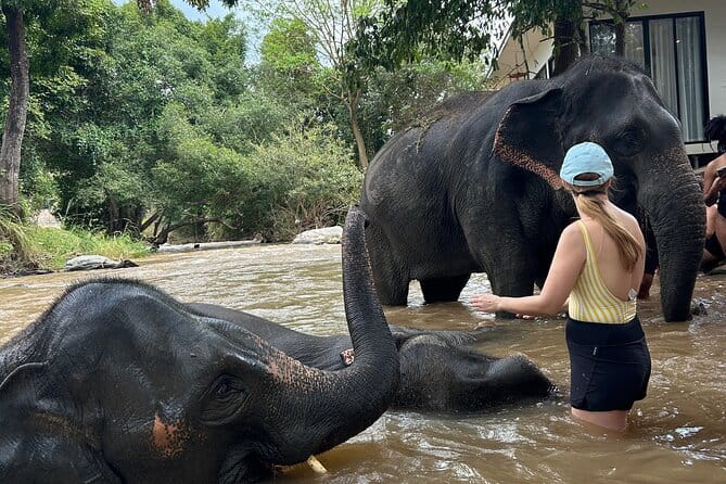 Chiang Mai Half Day Tour: Doi Inthanon Elephant Sanctuary - Key points to know before booking