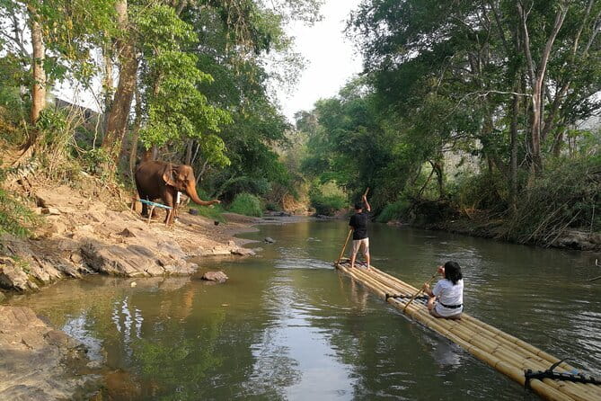 Chiang Mai Half Day Tour: Doi Inthanon Elephant Sanctuary - Who will enjoy this half-day outing