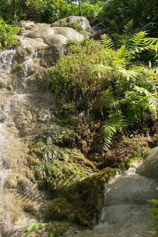 Chiang Mai Half Day Tour: Sticky Waterfall & Hotel Transfer - The Seven Color Fountain and extra park time