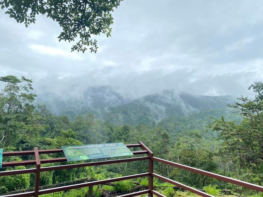 Chiang Mai Half Day Tour: Sticky Waterfall & Hotel Transfer - Should you book the Sticky Waterfalls transfer?