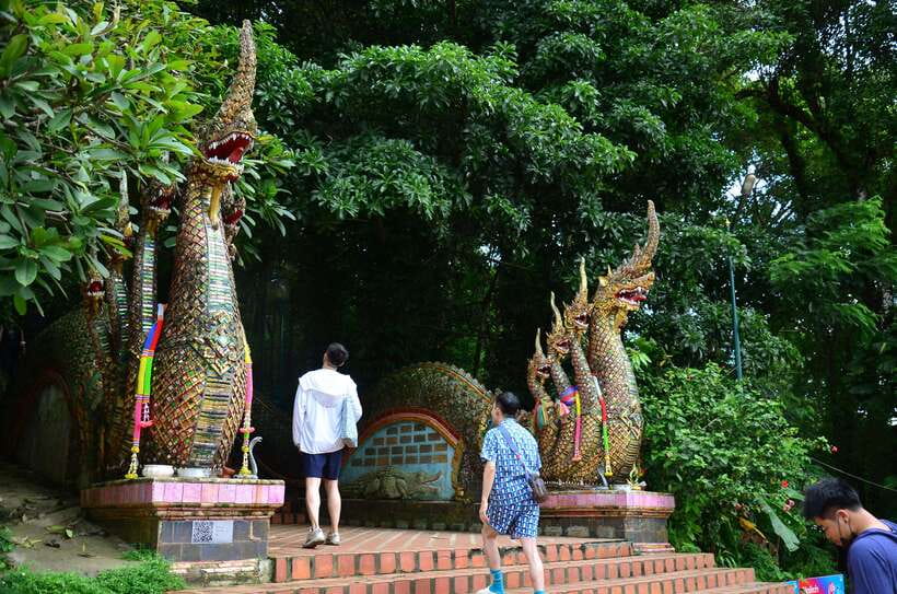 Chiang Mai: Hike on Monk’s Trail and Doi Suthep Private Tour - From a forest footpath to Chiang Mai’s holiest viewpoint