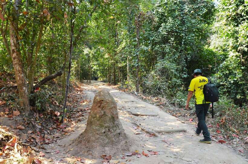 Chiang Mai: Hike on Monk’s Trail and Doi Suthep Private Tour - Riding up to Wat Phra That Doi Suthep