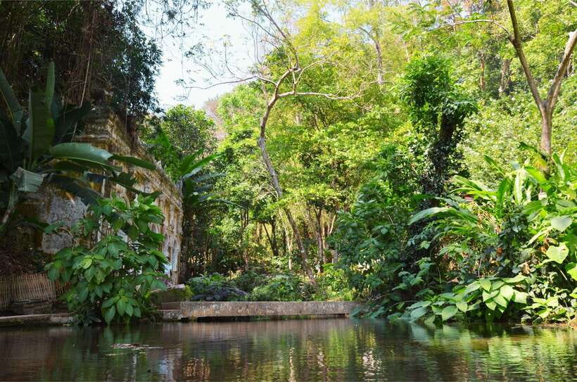 Chiang Mai: Hike on Monk’s Trail and Doi Suthep Private Tour - Who will enjoy this tour most