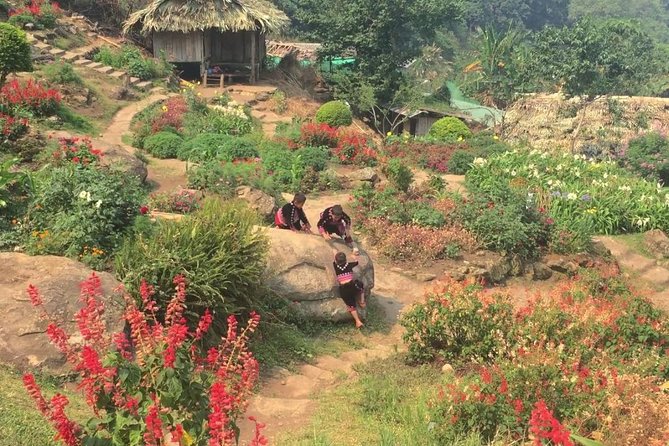 Chiang Mai Iconic Temples and City Tour - Why this short Chiang Mai tour works